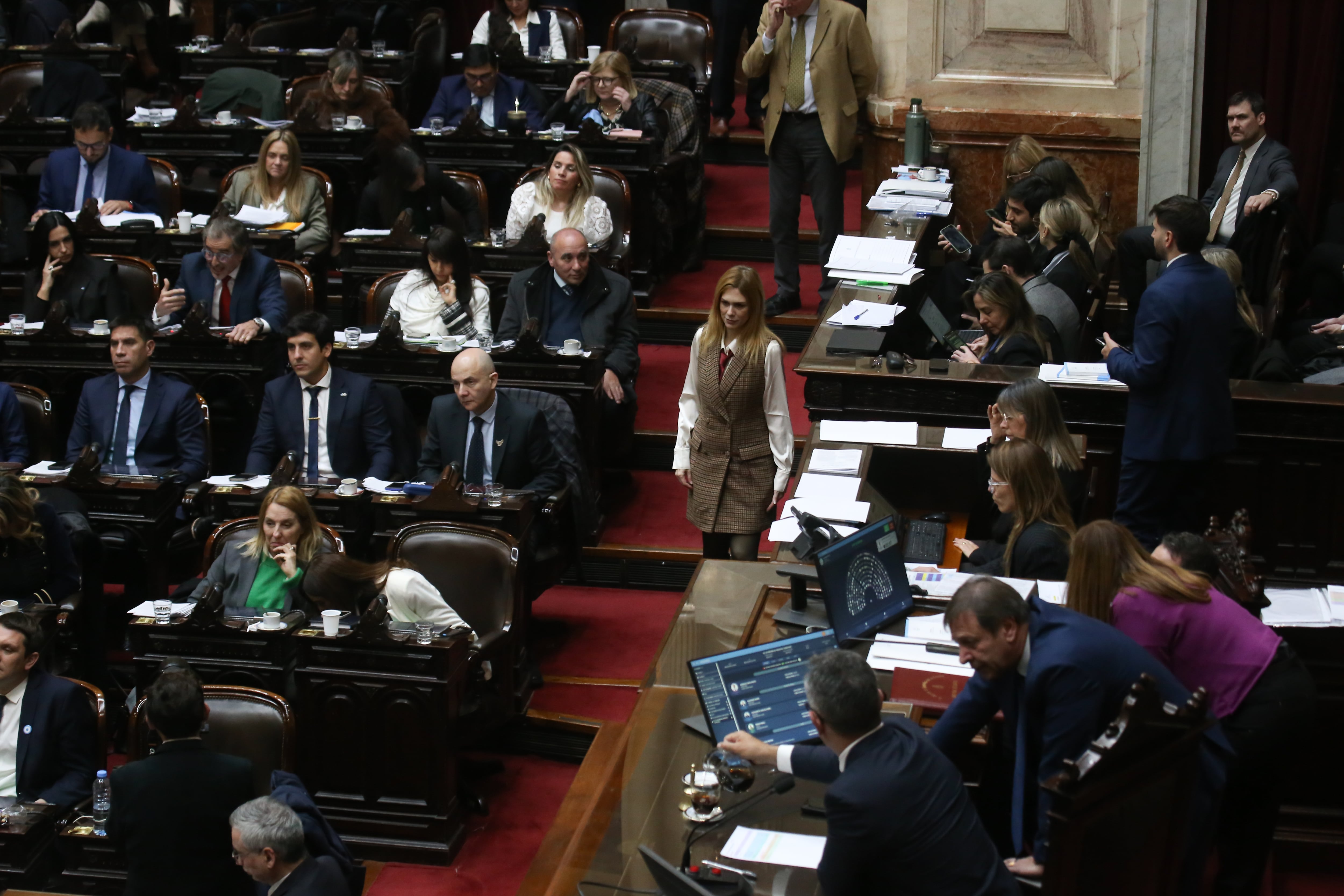 Sesión especial en la Cámara de Diputados del 24 de junio