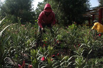 FOTO: ROGELIO MORALES /CUARTOSCURO