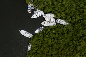 Los botes se sientan asegurados