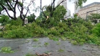 El cruce de Libertador y