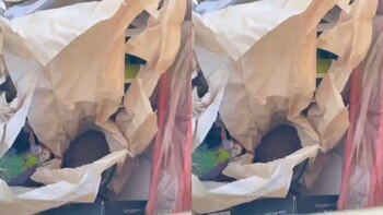 Granada fue dejada en casa