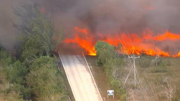 Incendios forestales en el sur