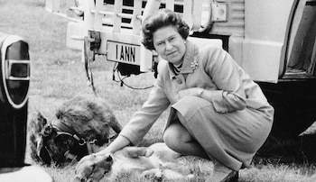 Perros de Isabel II