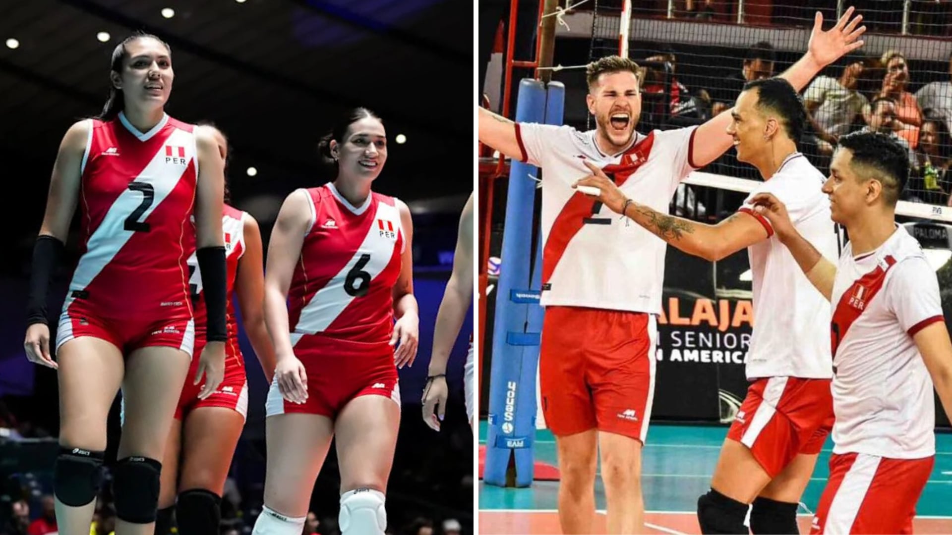 Perú participará en la Copa América de Vóley 2025 en la rama masculina y femenina. Crédito Agencias