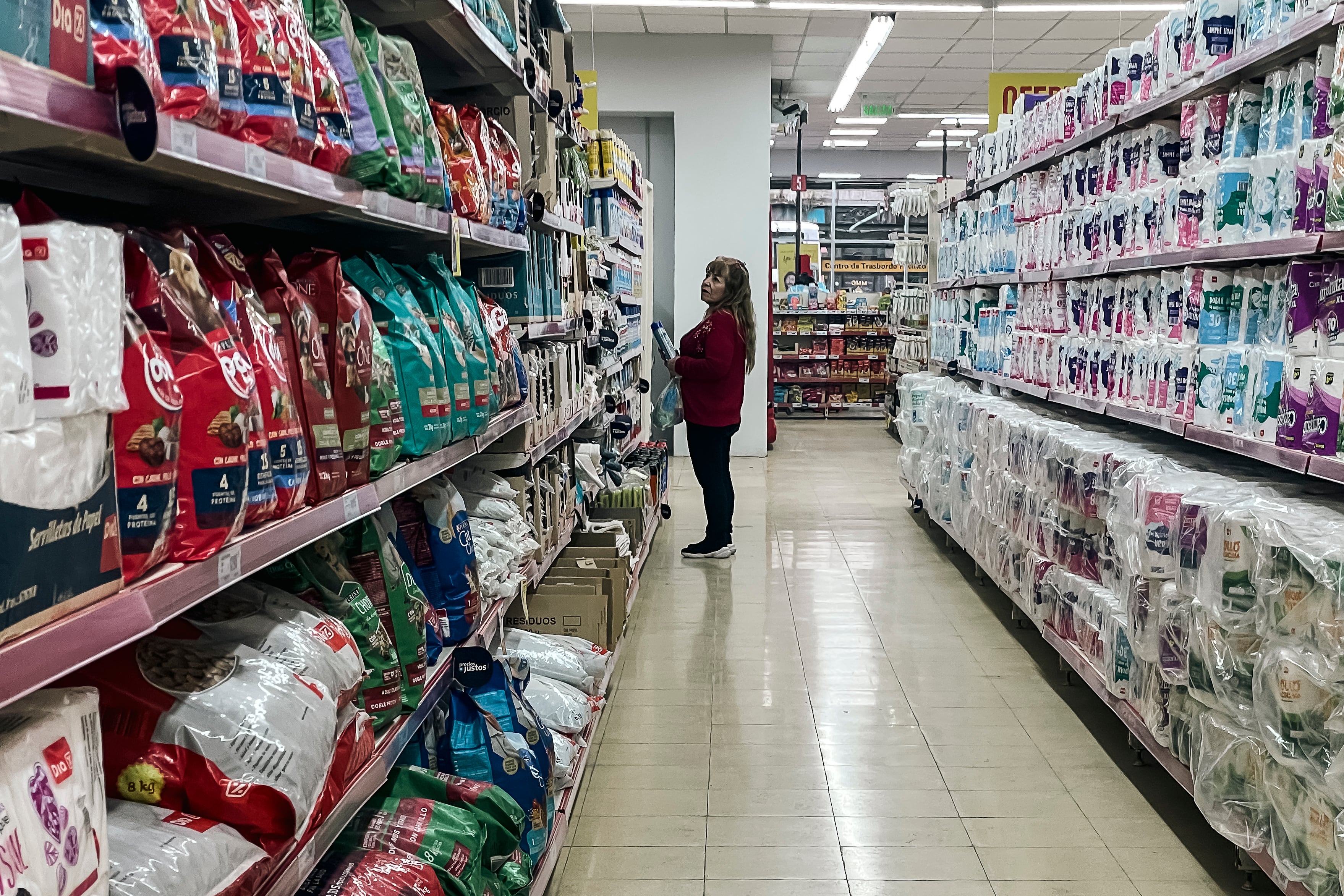 Una mujer compra en un mercado en Buenos Aires (Argentina), en una fotografía de archivo. EFE/Juan Ignacio Roncoroni