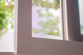 Mosquiteras para ventana (Adobe Stock)