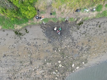 El yacimiento revela una red