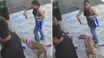 Usuarios no pudieron contener la risa ante la astucia de la mascota y la reacción de su propietaria.