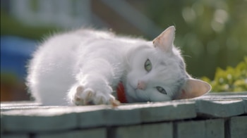 Kiki es finalista de los