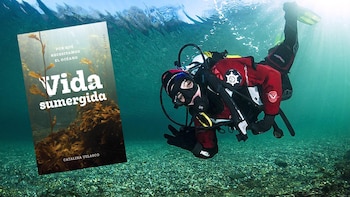 La ONU llevará a cabo