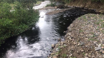 Imagen de referencia - El