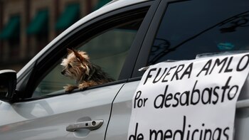 Por qué AMLO quiere eliminar