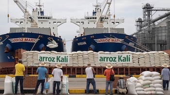 La sobreoferta de arroz importado pone en riesgo la próxima siembra y amenaza la sostenibilidad del sector agrícola venezolano. (Imagen Ilustrativa Infobae)