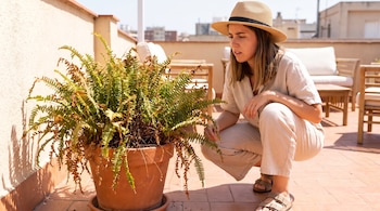 Una mujer con sombrero de paja agachada frente a una maceta con un helecho de hojas secas en una terraza soleada.