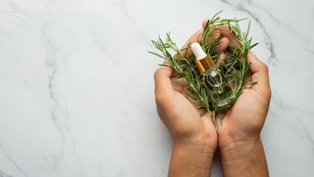 Investigaciones recientes revelan que el