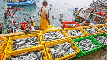 Perú reafirma su compromiso de