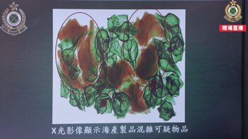 La droga fue detectada durante