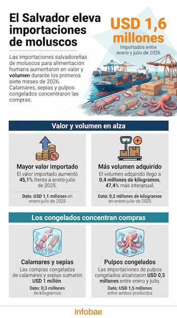 Infografía sobre importaciones de moluscos en El Salvador con datos de valor y volumen, e ilustraciones de barcos, calamares y pulpos.