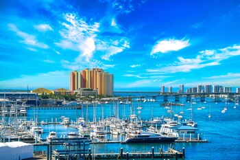 Un estudio revela una ganancia