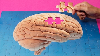 La presencia de células humanas