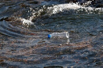 El inventario de los investigadores