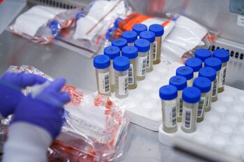 Durante el lapso de enero