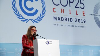 Cinco años de la conclusión