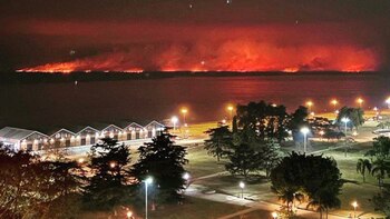 El Delta del Paraná lleva