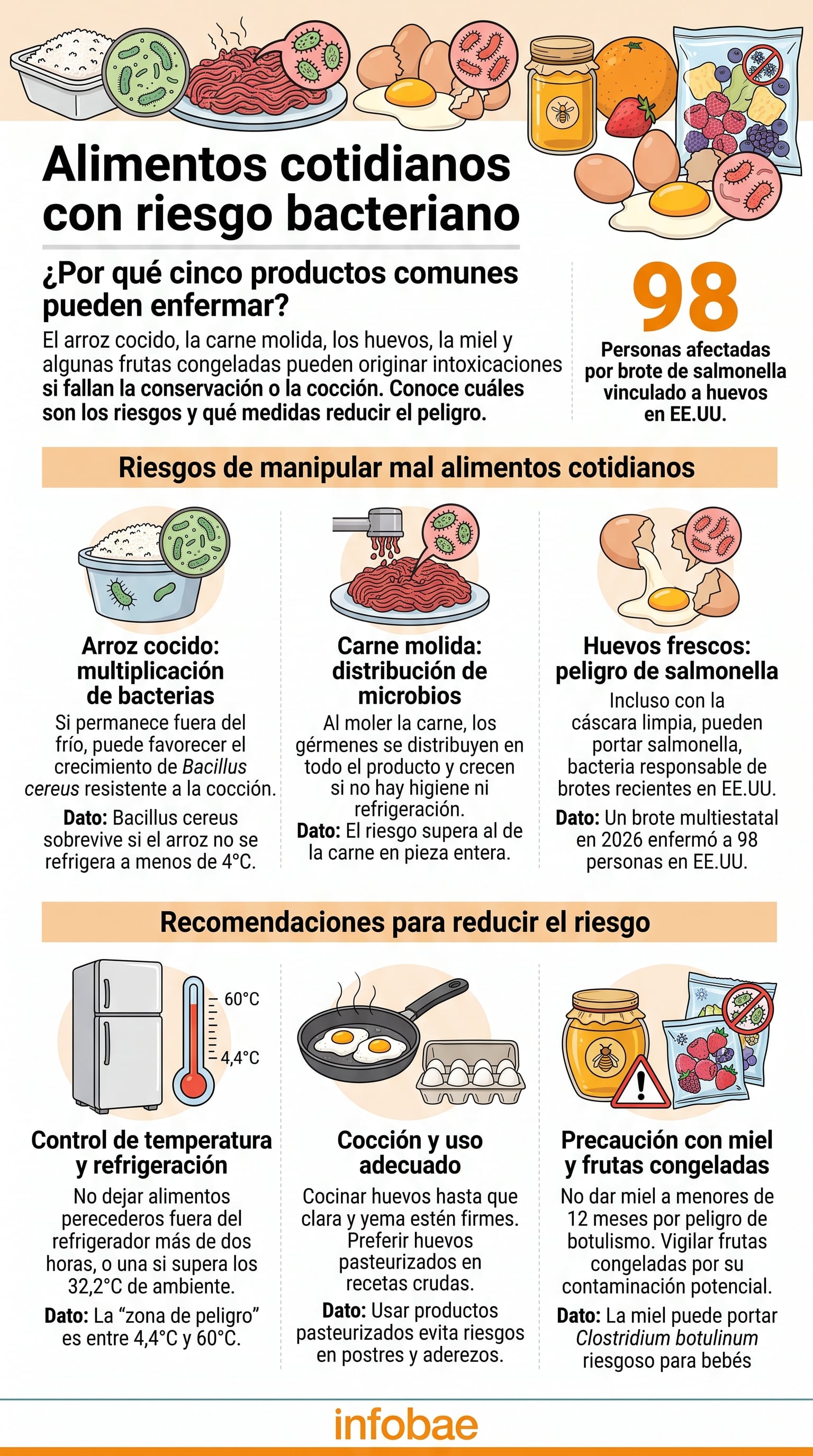 El arroz cocido puede favorecer la multiplicación de Bacillus cereus si permanece varias horas fuera de la heladera (Imagen Ilustrativa Infobae)