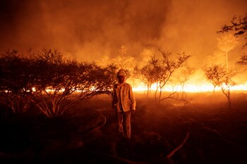 Los incendios forestales que han