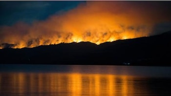 Advirtieron que un 70% de