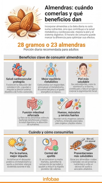 Infografía con ilustraciones de almendras, porción diaria, beneficios (cardiovascular, metabólico, piel, intestinal, huesos) con íconos y recomendaciones de consumo.