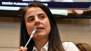Senadora Esmeralda Hernández presentó proyecto de ley ‘Gallinas Libres de Jaulas’ para prohibir el uso de jaulas en la industria avícola colombiana