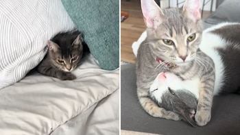 Daisy conviviendo con su hermano