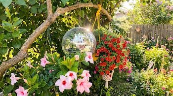 Bola de discoteca, flores rosadas, flores rojas, plantas verdes, rama de árbol, gancho amarillo, canasta colgante, cerca de madera, luz de sol.