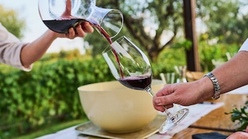 “El vino sin alcohol es una alternativa”: las nuevas tendencias que ya impactan en el mercado argentino