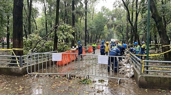 Escena en Viveros de Coyoacán con suelo lodoso, ramas rotas, vallas de contención, sacos de arena y trabajadores en uniformes azules y amarillos bajo cielo nublado.