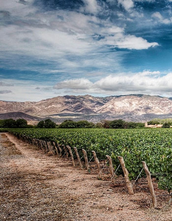 Bodega Colomé, fundada en 1831