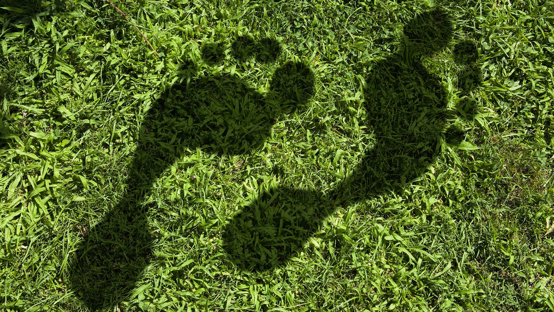La FSC plantea que la pregunta ya no es sólo qué huella de carbono deja una operación, sino que incorpora otras: qué recursos naturales son estratégicos, qué riesgos podrían aparecer si se deterioran y qué inversiones permitirían reducir esas vulnerabilidades (Shadow Footprint)