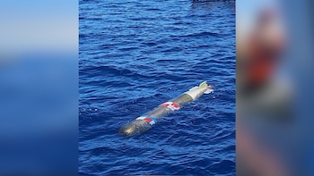 Torpedo de práctica hallado en el mar de Ensenada fue lanzado desde el aire y sería de Estados Unidos
