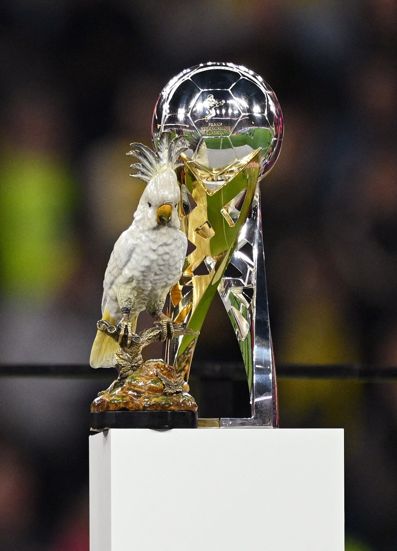 Vista general del trofeo de la Supercopa DFL y la cacatúa de porcelana tras el triunfo del Bayern Múnich en la final-crédito Teresa Kroeger/REUTERS