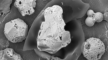 Imagen de microscopio electrónico en escala de grises con varias partículas porosas, fragmentos rugosos y esferas de textura irregular.