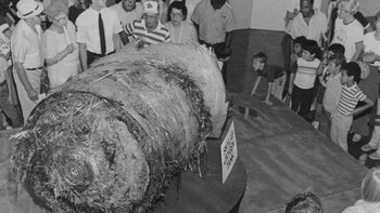 El día que la ciencia