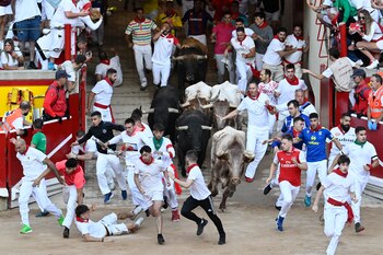 Los toros de la ganadería
