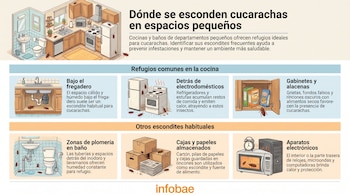 Infografía con ilustraciones de un departamento y seis puntos que muestran escondites de cucarachas: fregadero, electrodomésticos, gabinetes, tuberías, cajas y electrónicos.