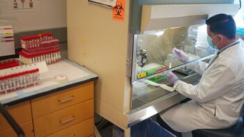 Paniz-Mondolfi preparando un hisopo nasal