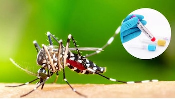 Honduras confirma su primer caso de chikungunya de 2026 y activa vigilancia para evitar transmisión local