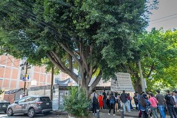 SEDEMA CDMX informó que el