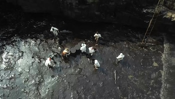 La justicia de Perú admitió