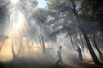 El humo de los incendios